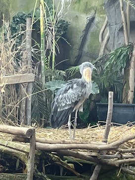 那須どうぶつ王国に投稿された画像（2021/2/21）