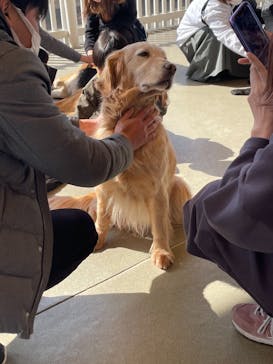 那須どうぶつ王国に投稿された画像（2021/2/21）