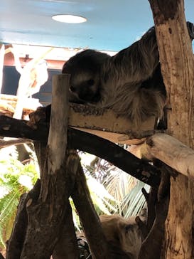 那須どうぶつ王国に投稿された画像（2021/2/21）