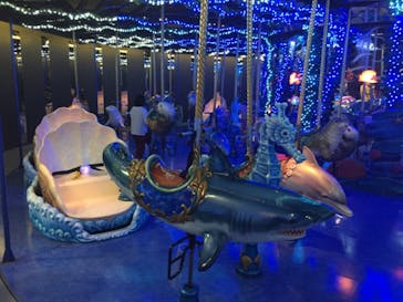 マクセル アクアパーク品川に投稿された画像（2021/2/21）