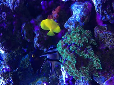 マクセル アクアパーク品川に投稿された画像（2021/2/21）