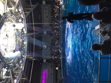 マクセル アクアパーク品川に投稿された画像（2021/2/21）