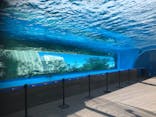 サンシャイン水族館に投稿された画像（2021/2/21）