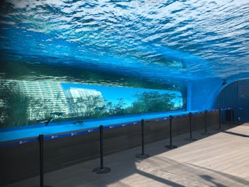 サンシャイン水族館に投稿された画像（2021/2/21）