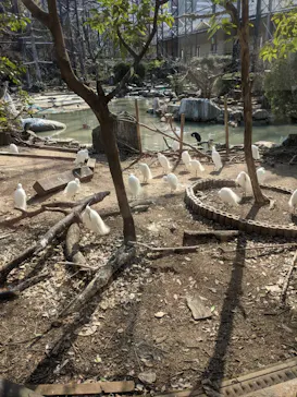 天王寺動物園に投稿された画像（2021/2/21）