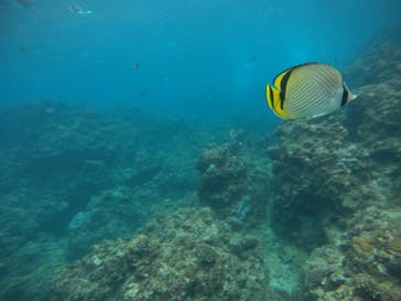 武藤潜水に投稿された画像（2021/2/21）