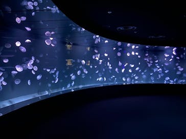 サンシャイン水族館に投稿された画像（2021/2/21）