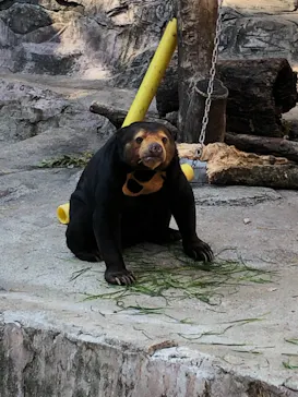 天王寺動物園に投稿された画像（2021/2/21）