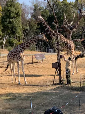 天王寺動物園に投稿された画像（2021/2/21）