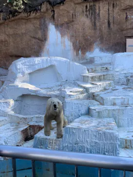 天王寺動物園に投稿された画像（2021/2/21）