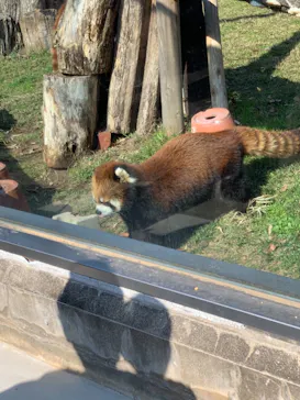 天王寺動物園に投稿された画像（2021/2/21）