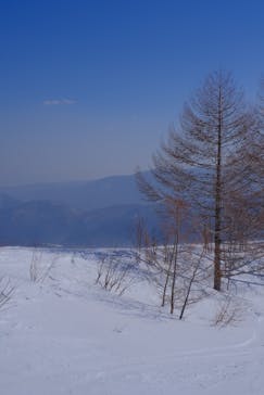 Mt.乗鞍スノーリゾートに投稿された画像（2021/2/21）