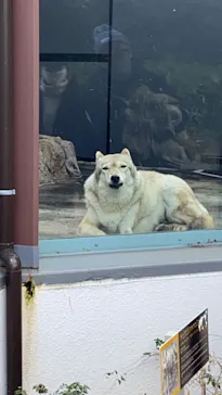 天王寺動物園に投稿された画像（2021/2/21）