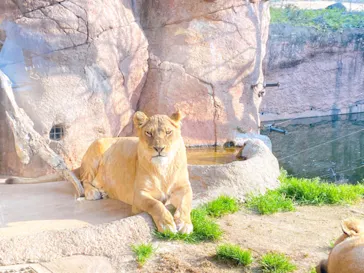 天王寺動物園に投稿された画像（2021/2/21）