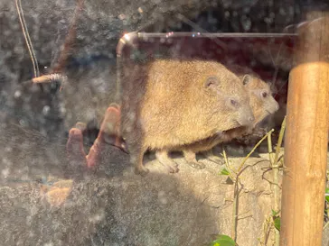 天王寺動物園に投稿された画像（2021/2/21）