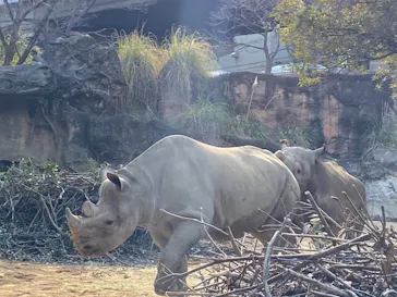 天王寺動物園に投稿された画像（2021/2/21）