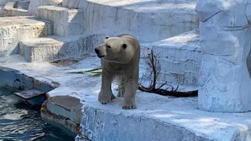 天王寺動物園に投稿された画像（2021/2/21）