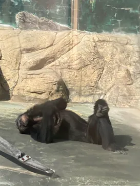 天王寺動物園に投稿された画像（2021/2/21）