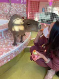 原宿かわいい動物園に投稿された画像（2021/2/21）