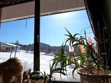 志賀高原マウンテンリゾートに投稿された画像（2021/2/21）