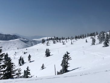 志賀高原マウンテンリゾートに投稿された画像（2021/2/21）