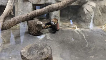 天王寺動物園に投稿された画像（2021/2/21）