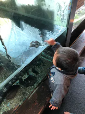 天王寺動物園に投稿された画像（2021/2/21）