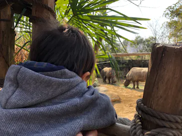 天王寺動物園に投稿された画像（2021/2/21）