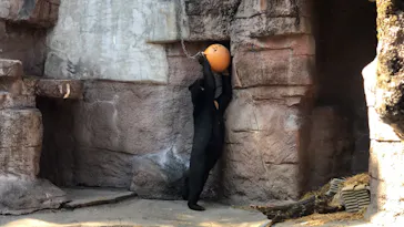 天王寺動物園に投稿された画像（2021/2/21）