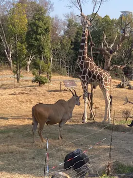 天王寺動物園に投稿された画像（2021/2/21）