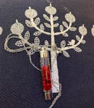 ずこうしつ〜sugamo〜に投稿された画像（2021/2/21）