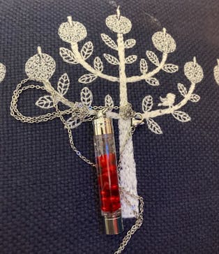 ずこうしつ〜sugamo〜に投稿された画像（2021/2/21）