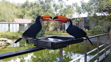 ネオパークオキナワに投稿された画像（2021/2/21）