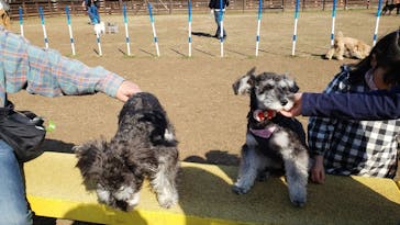 わんダフルネイチャーヴィレッジに投稿された画像（2021/2/21）