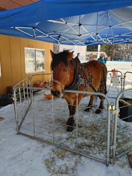 木曽福島スキー場に投稿された画像（2021/2/21）