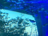 サンシャイン水族館に投稿された画像（2021/2/21）