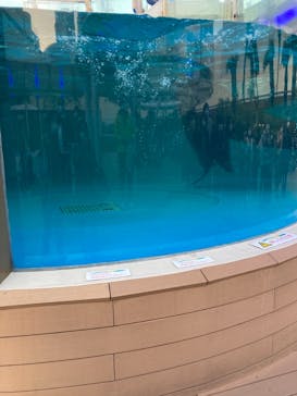 サンシャイン水族館に投稿された画像（2021/2/21）
