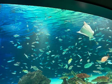 サンシャイン水族館に投稿された画像（2021/2/21）