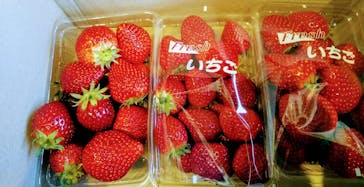 福田フルーツパークに投稿された画像（2021/2/21）