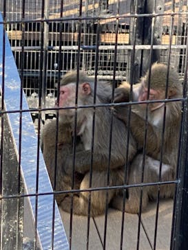 沖縄こどもの国に投稿された画像（2021/2/21）