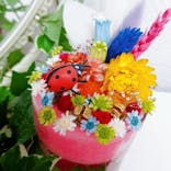 ずこうしつ〜sugamo〜に投稿された画像（2021/2/21）