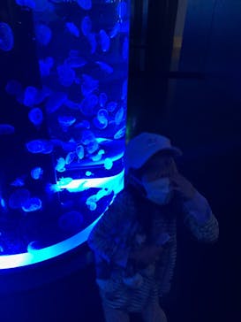 マクセル アクアパーク品川に投稿された画像（2021/2/21）