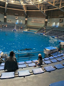 マクセル アクアパーク品川に投稿された画像（2021/2/21）