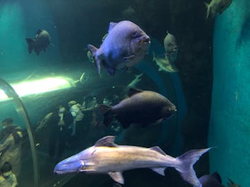 株式会社Gに投稿された画像（2021/2/21）