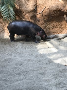 神戸どうぶつ王国に投稿された画像（2021/2/21）