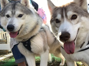 成田ゆめ牧場に投稿された画像（2021/2/21）