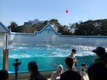 しながわ水族館に投稿された画像（2021/2/21）