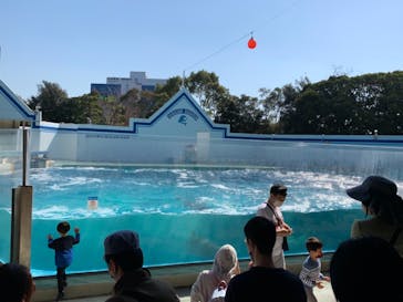 しながわ水族館に投稿された画像（2021/2/21）