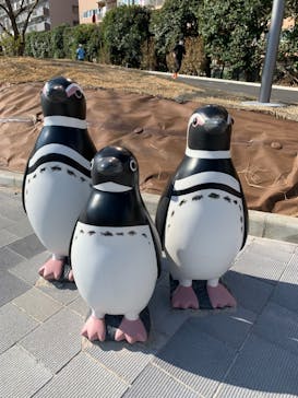 しながわ水族館に投稿された画像（2021/2/21）