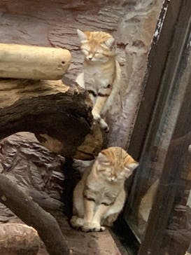 那須どうぶつ王国に投稿された画像（2021/2/21）